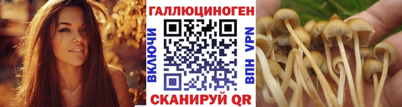 Псилоцибиновые грибы прущие грибы  Ковдор 